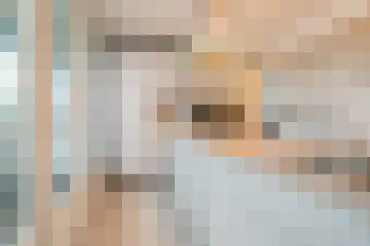 Venuslaan 217 Eindhoven thumbnail 21