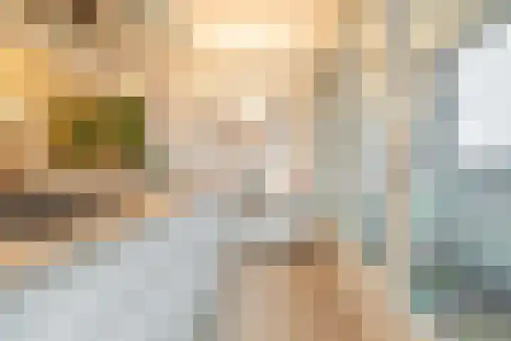 Venuslaan 217 Eindhoven thumbnail 22