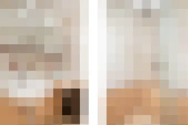 Venuslaan 217 Eindhoven thumbnail 27