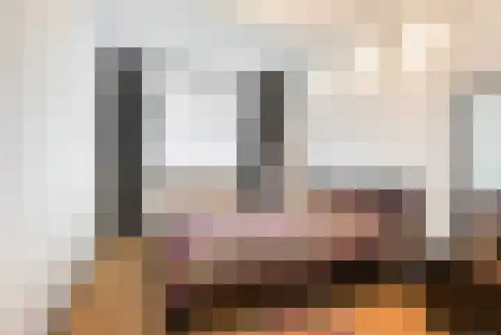 Venuslaan 217 Eindhoven thumbnail 28