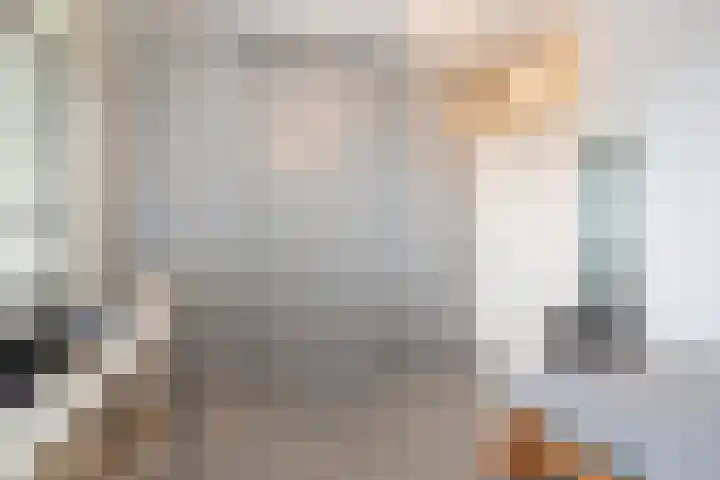 Venuslaan 217 Eindhoven thumbnail 31