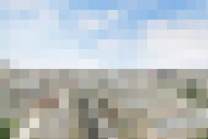 Venuslaan 217 Eindhoven thumbnail 34