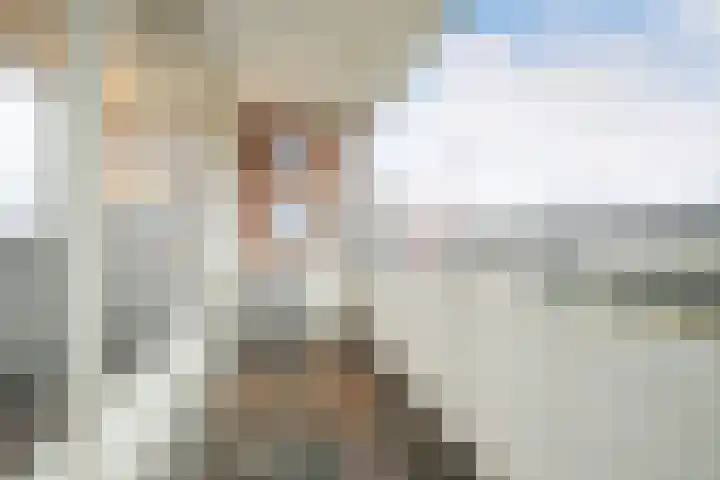 Venuslaan 217 Eindhoven thumbnail 35