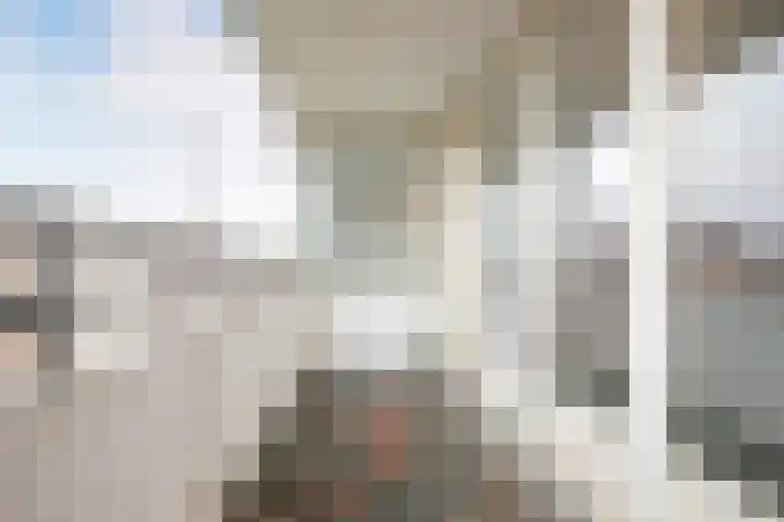 Venuslaan 217 Eindhoven thumbnail 36