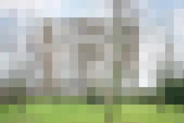 Venuslaan 217 Eindhoven thumbnail 39
