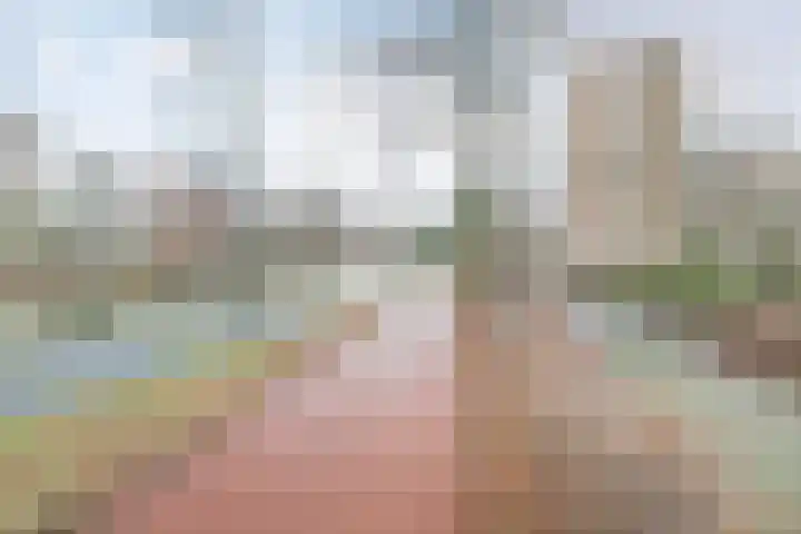 Venuslaan 217 Eindhoven thumbnail 43