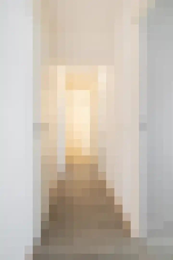 Venuslaan 217 Eindhoven thumbnail 44