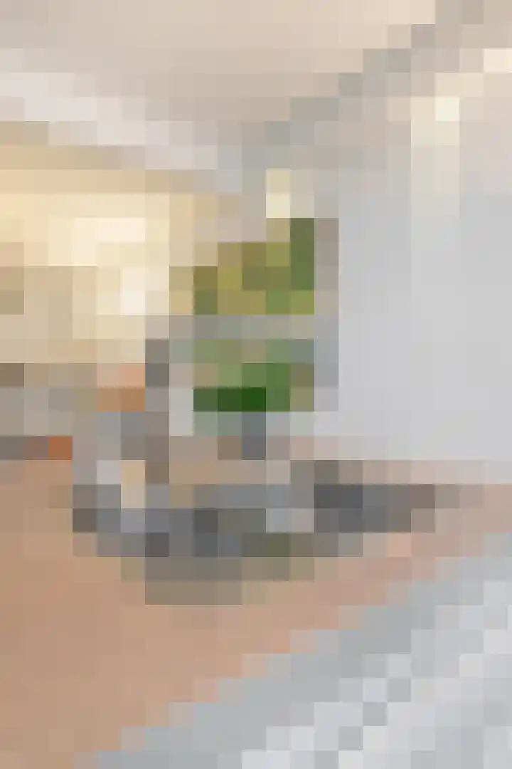 Venuslaan 217 Eindhoven thumbnail 46