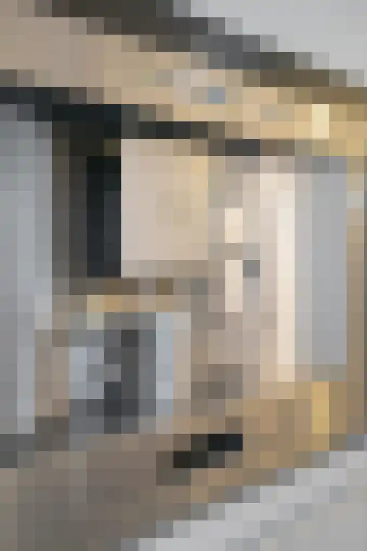 Venuslaan 217 Eindhoven thumbnail 47