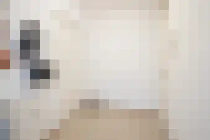 Venuslaan 217 Eindhoven thumbnail 8