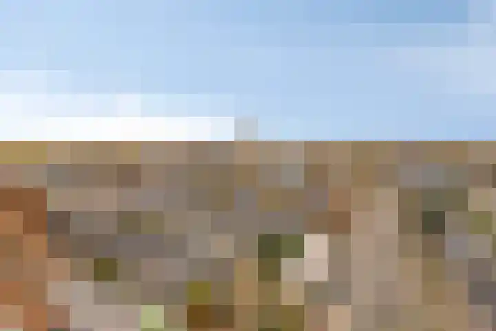Venuslaan 219 Eindhoven thumbnail 10