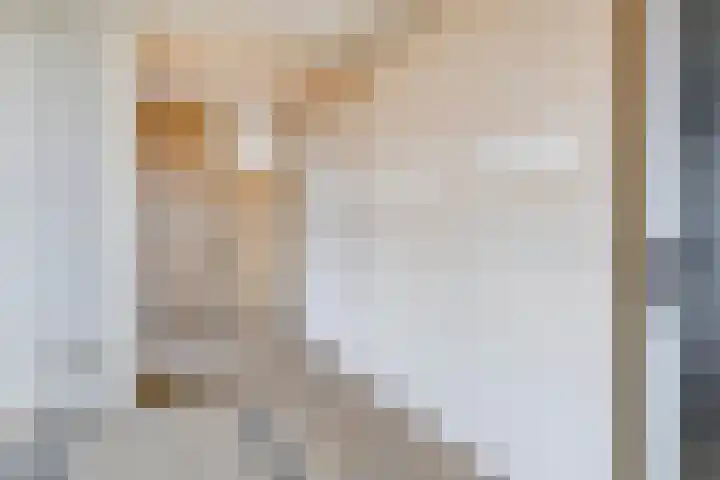 Venuslaan 219 Eindhoven thumbnail 15