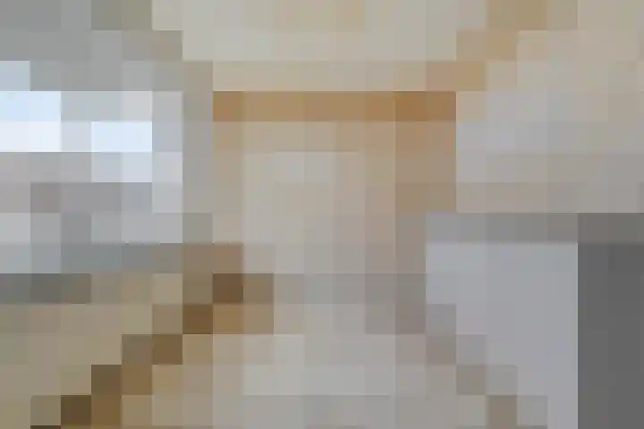 Venuslaan 219 Eindhoven thumbnail 16
