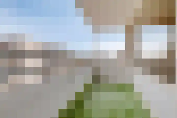 Venuslaan 219 Eindhoven thumbnail 18