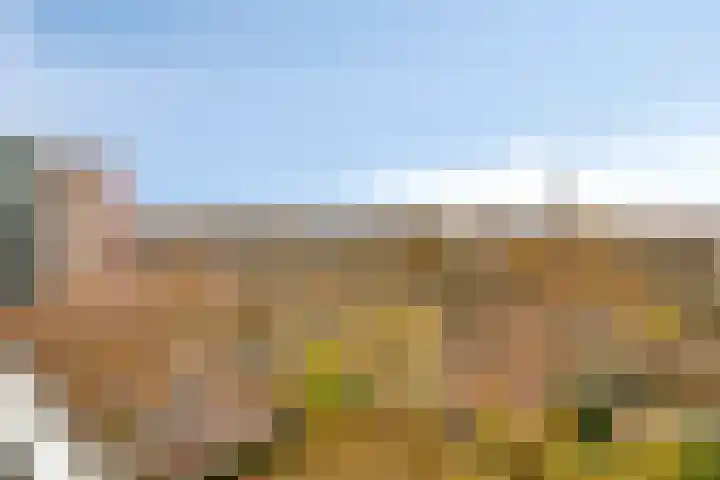 Venuslaan 219 Eindhoven thumbnail 19