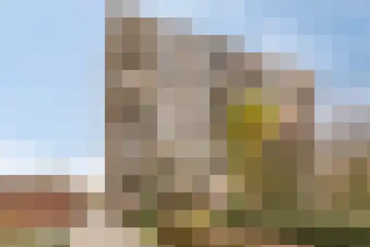 Venuslaan 219 Eindhoven thumbnail 24