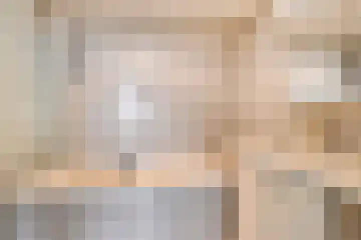 Venuslaan 219 Eindhoven thumbnail 6
