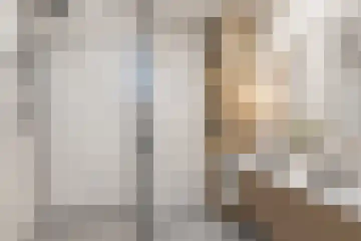 Venuslaan 219 Eindhoven thumbnail 7
