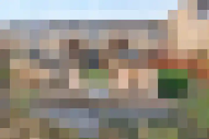 Venuslaan 22 Hardenberg