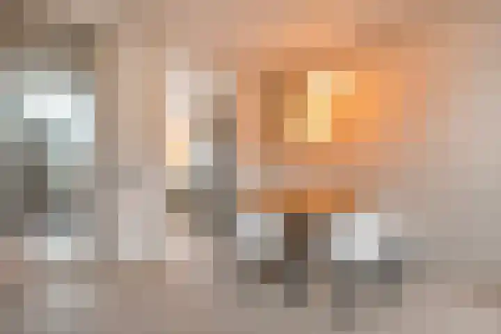 Venuslaan 22 Hardenberg thumbnail 15