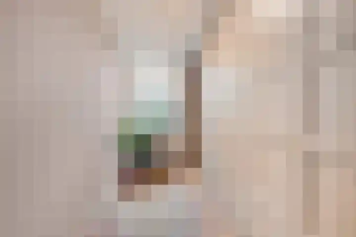 Venuslaan 22 Hardenberg thumbnail 23