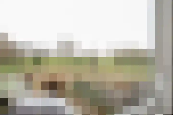 Venuslaan 22 Hardenberg thumbnail 27