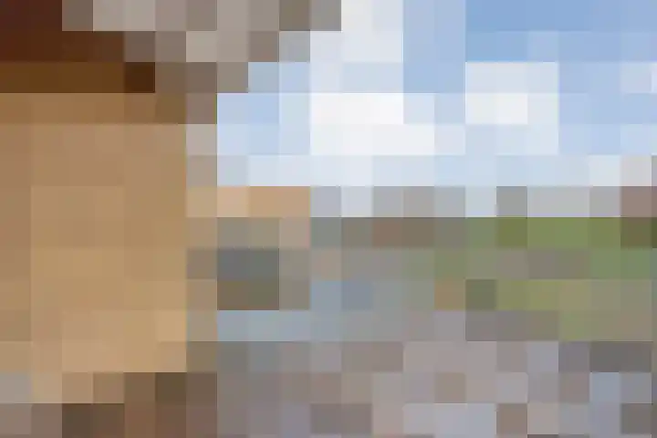 Venuslaan 22 Hardenberg thumbnail 35