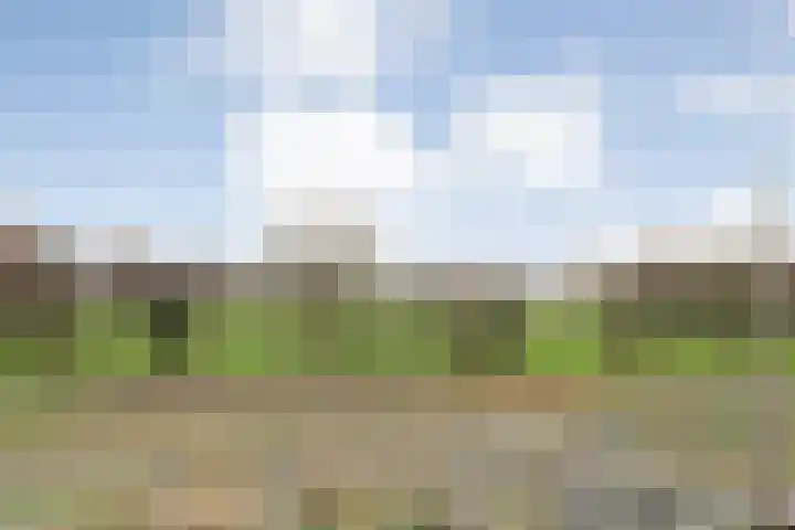 Venuslaan 22 Hardenberg thumbnail 37