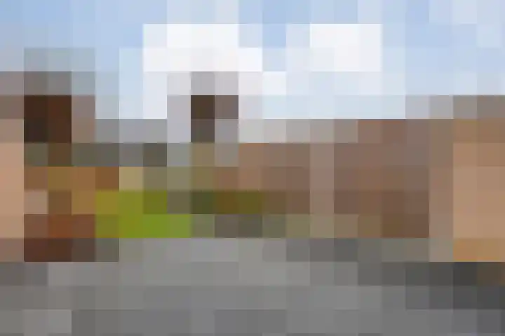 Venuslaan 22 Hardenberg thumbnail 39