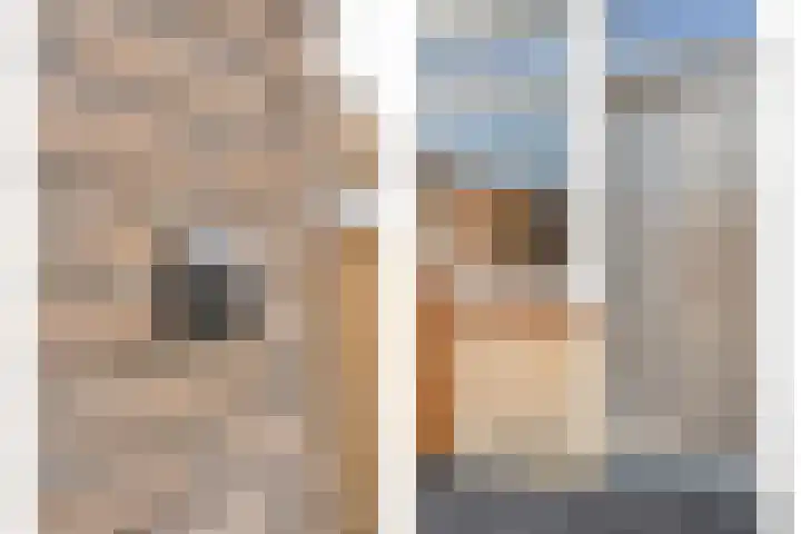 Venuslaan 22 Hardenberg thumbnail 4
