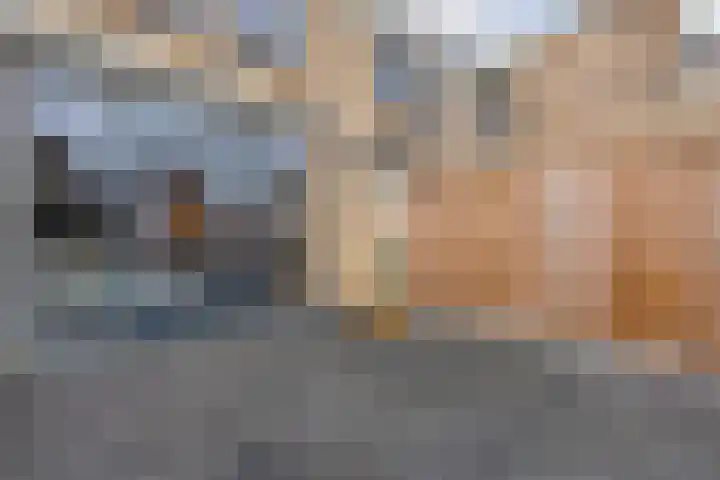 Venuslaan 22 Hardenberg thumbnail 40