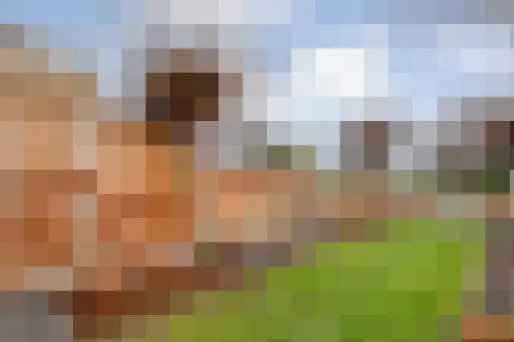 Venuslaan 22 Hardenberg thumbnail 41
