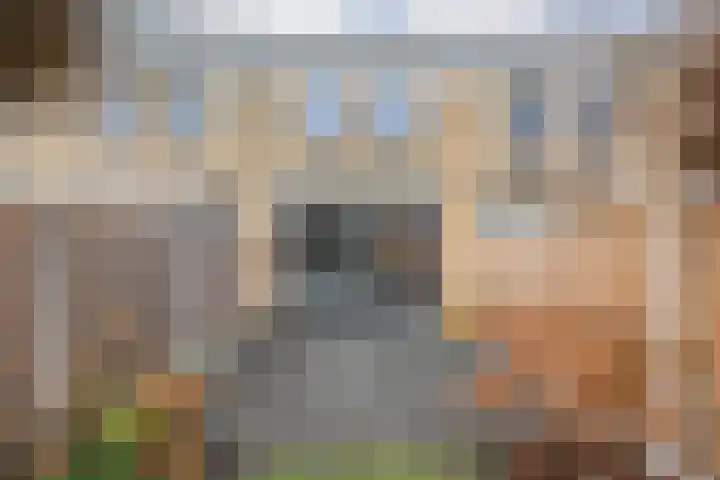 Venuslaan 22 Hardenberg thumbnail 42