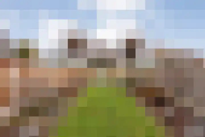 Venuslaan 22 Hardenberg thumbnail 43
