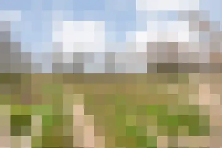 Venuslaan 22 Hardenberg thumbnail 46