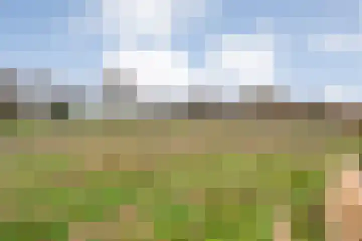Venuslaan 22 Hardenberg thumbnail 47