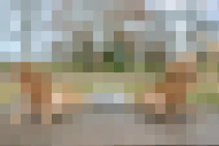 Venuslaan 22 Hardenberg thumbnail 49