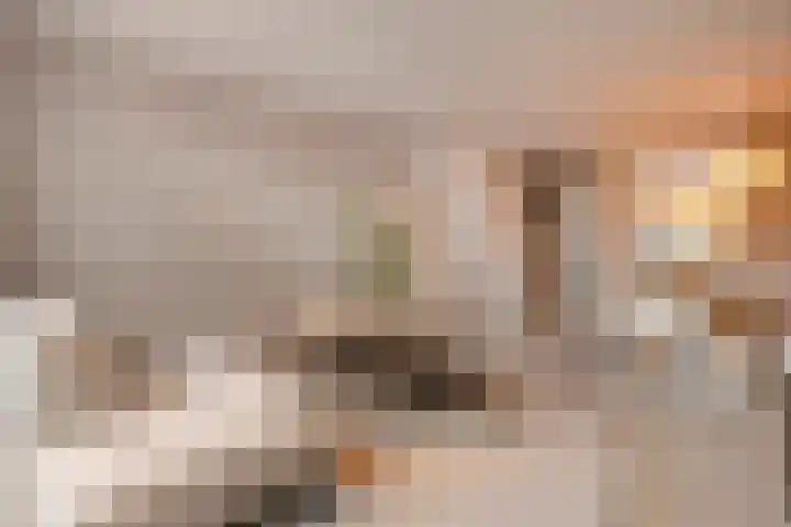 Venuslaan 22 Hardenberg thumbnail 9