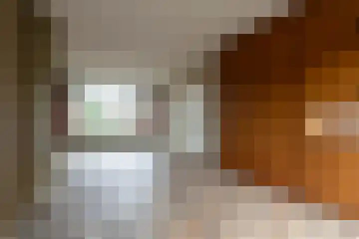 Venuslaan 23 Bilthoven thumbnail 11