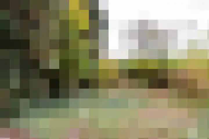 Venuslaan 23 Bilthoven thumbnail 25