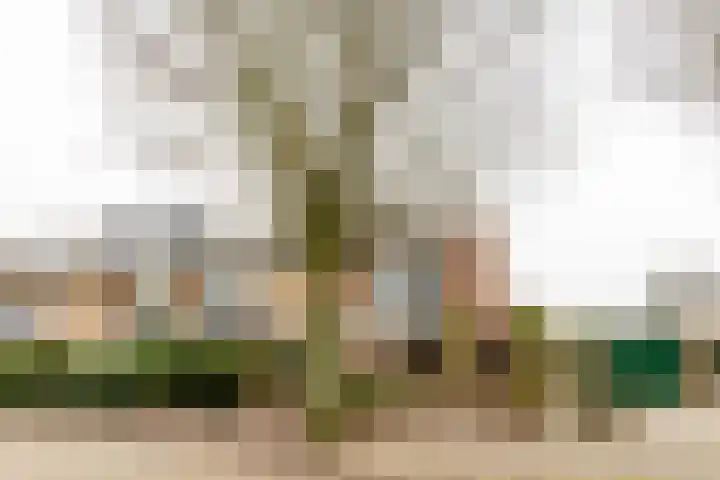 Venuslaan 23 Bilthoven thumbnail 4