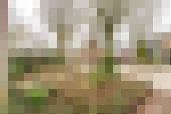 Venuslaan 23 Bilthoven thumbnail 5