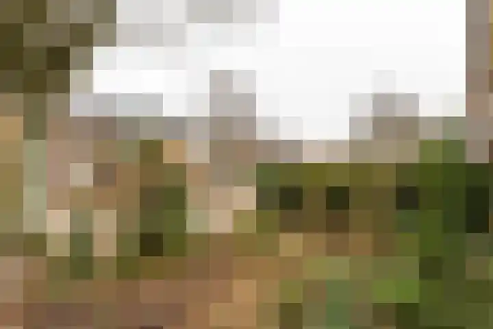 Venuslaan 23 Bilthoven thumbnail 6