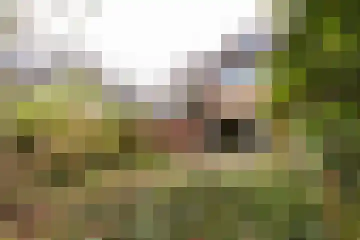 Venuslaan 23 Bilthoven thumbnail 7