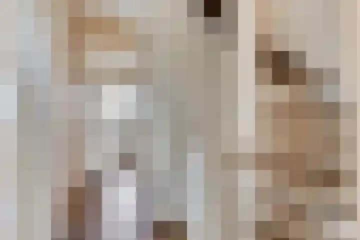 Venuslaan 23 Son en Breugel thumbnail 17