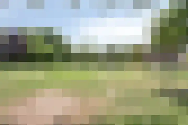Venuslaan 23 Son en Breugel thumbnail 34