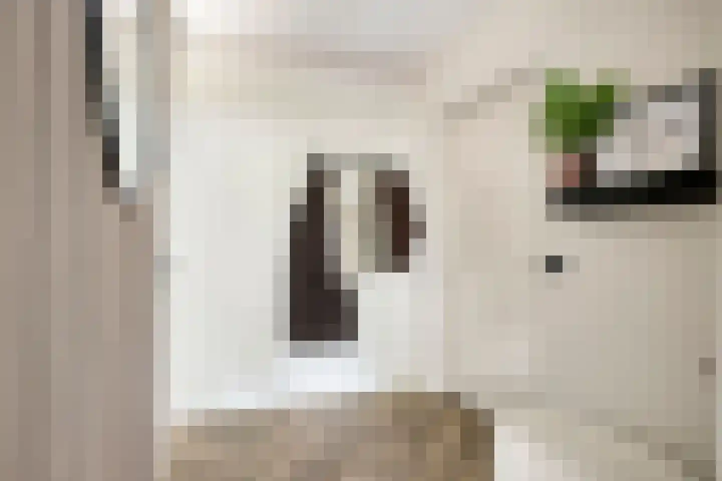 Venuslaan 231 Eindhoven thumbnail 12