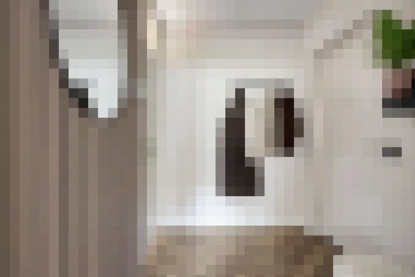 Venuslaan 231 Eindhoven thumbnail 13