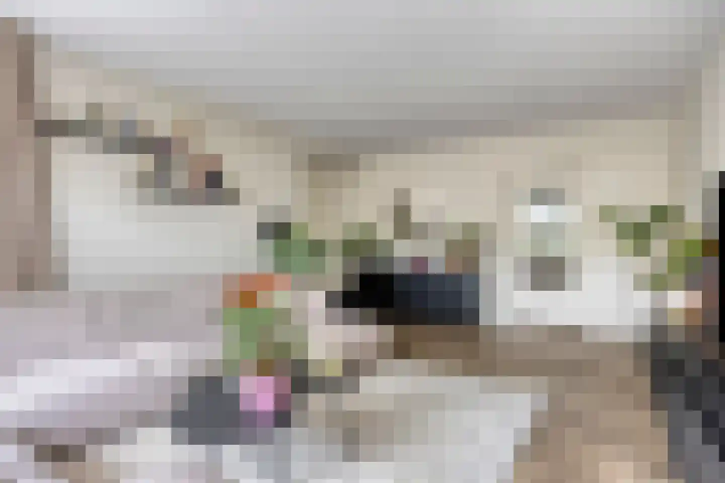 Venuslaan 231 Eindhoven thumbnail 16