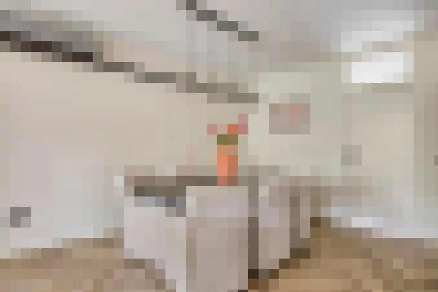 Venuslaan 231 Eindhoven thumbnail 22
